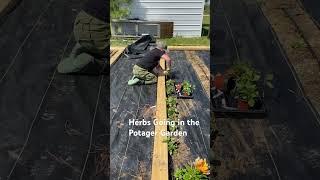 Potager Garden in The Making #farmlife #farmlife #farmfun #farming #farmon