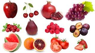 Learn Red Fruits in English Red Fruits Vocabulary ApplePearPlum& More Red Fruits Glossary 