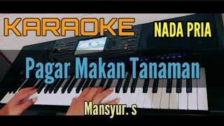 KARAOKE DANGDUT  PAGAR MAKAN TANAMAN  NADA PRIA