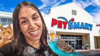 Amerika’da Pet Shop Fiyatları  Pet Smart