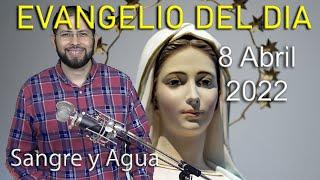 Evangelio Del Dia Hoy - Viernes 8 Abril 2022- Sangre y Agua