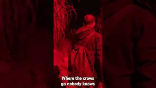 The Crows of mawkin meadow - Thorpe park fright nights