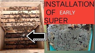 How to delay swarming  honey super install #swarming #queenbee @darshakir157