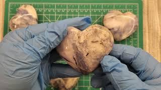 New this week Afganite Hearts