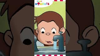 Georges New Pet ‍⬛  Curious George  #curiousgeorge #minimoments #shorts