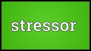 Stressor Meaning