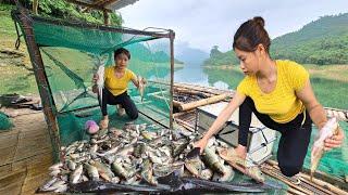 Girl catches BIG fish with homemade fish cage P2  Catch fish during floating season