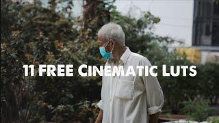 11 FREE Cinematic Luts  Color Grading 
