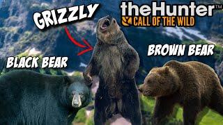 Hunting EVERY BEAR In Thehunter Call Of The Wild