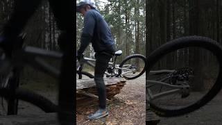 Wet wood + bike tires 