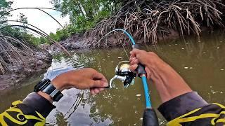 Sambaran Pertama Langsung Dapat Ikan Kakap Putih