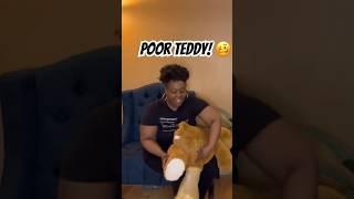 Poor Teddy Were we able to stuff him in the balloon? #comedy #funny #balloon