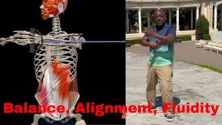 Balance Alignment Fluidity-Improve Your Coordination and Confidence