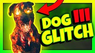 NEW Cool PET DOG Glitch - Modern Warfare 3 Zombies