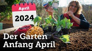 Garten Anfang April Aussaaten und Pflanzungen im Freiland die Sinn machen 🫛