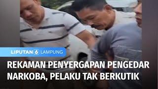 Rekaman Pengedar Narkoba Kembali Ditangkap  Liputan 6 Lampung