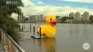 Channel 10 Duck Race Newsclips 21 8 12