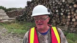 A look at Little John Enterprises speciality sawmill in Timmins