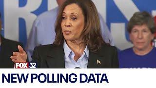 New polling numbers Heres where the race between Trump and Harris stands on Labor Day