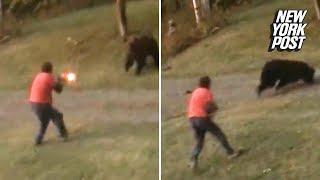 Grizzly bear takes shotgun blast at point-blank range and keeps charging  New York Post