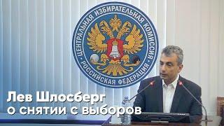 Выступление Льва Шлосберга в ЦИК РФ перед снятием с выборов