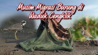 motret burung migran di Waduk Cengklik saat air surut