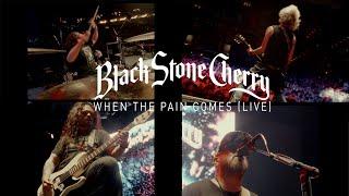 Black Stone Cherry - When The Pain Comes Official Live Video