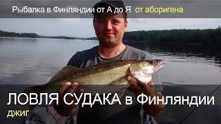 Ловля судака на джиг в Финляндии или как ловить судака. Рыбалка в Финляндии