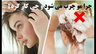 چرا مو چرب می شود و با موهای چرب باید چی کار کرد