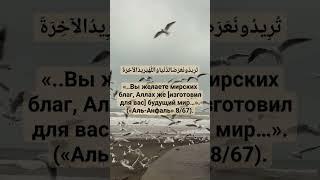 Напоминание себе и вам братья и сёстры #Умма #Аллах #Ислам #Allah #shorts