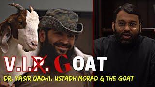 V.I.P. Goat  Bakra Eid ul Adha Comedy  Shaykh Dr. Yasir Qadhi Morad Awad and the Goat