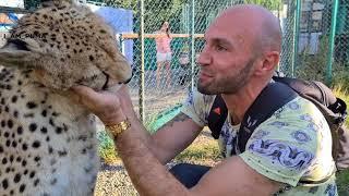 Cheetah Gerda First meeting