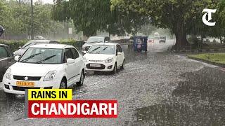 Heavy rains lash Chandigarh on Friday bringing down mercury considerably