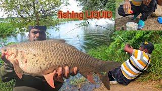 Fishing Videos  Best Fish catching Techniques  Fish catching Videos  Big Rohu Fishing Techniques