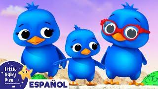 Familia de Pajaritos - Canciones Infantiles  Dibujos Animados  Little Baby Bum en Español
