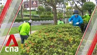 NParks to hire resident gardeners to help care for greenery in their neighbourhoods