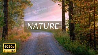 Beautiful Nature  DRONE  Free HD Videos - No Copyright footage