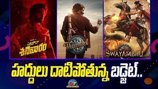 Saripodhaa Sanivaaram Thandel & Swayambhu Movies Budget Updates  Nani Naga Chaitanya  @NTVENT