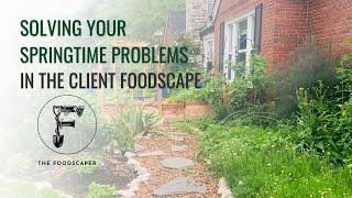 Solving Your Springtime Problems in the Client Foodscape