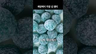 세상에서 가장 신 사탕 유튜버들이 이걸 왜 먹을까? mega sour candy raspberry