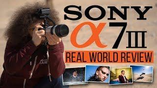 Sony a7 III Real World Review vs Sony a7R III Nikon D850 Canon 6D Mark II