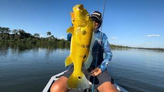 DUELO NAS ÁGUAS CAPTUREI MAIS DE UM PEIXE AO MESMO TEMPO NO TELES PIRES