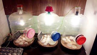 DIY-Homemade Incubator For Chicken Eggs