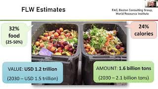 Harvesting Solutions A Trio of Perspectives on Addressing Food Waste from Field to Fork