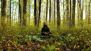 Avi Kaplan - Otherside Official Music Video