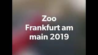 Zoo Frankfurt am main