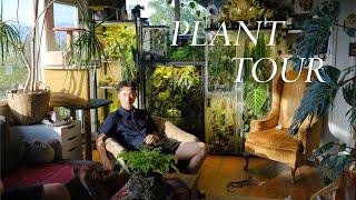 Inside JiaHao’s Plant-filled Home  houseplant collection