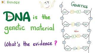 DNA is the genetic material  The Evidence  Biology Lectures