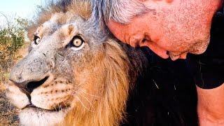 LION REUNION - Happy Encounter with Kevin Richardson  The Lion Whisperer