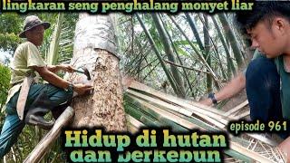 pelan-pelan mengumpulkan material atap pondok durian life in the forest warta petani muda